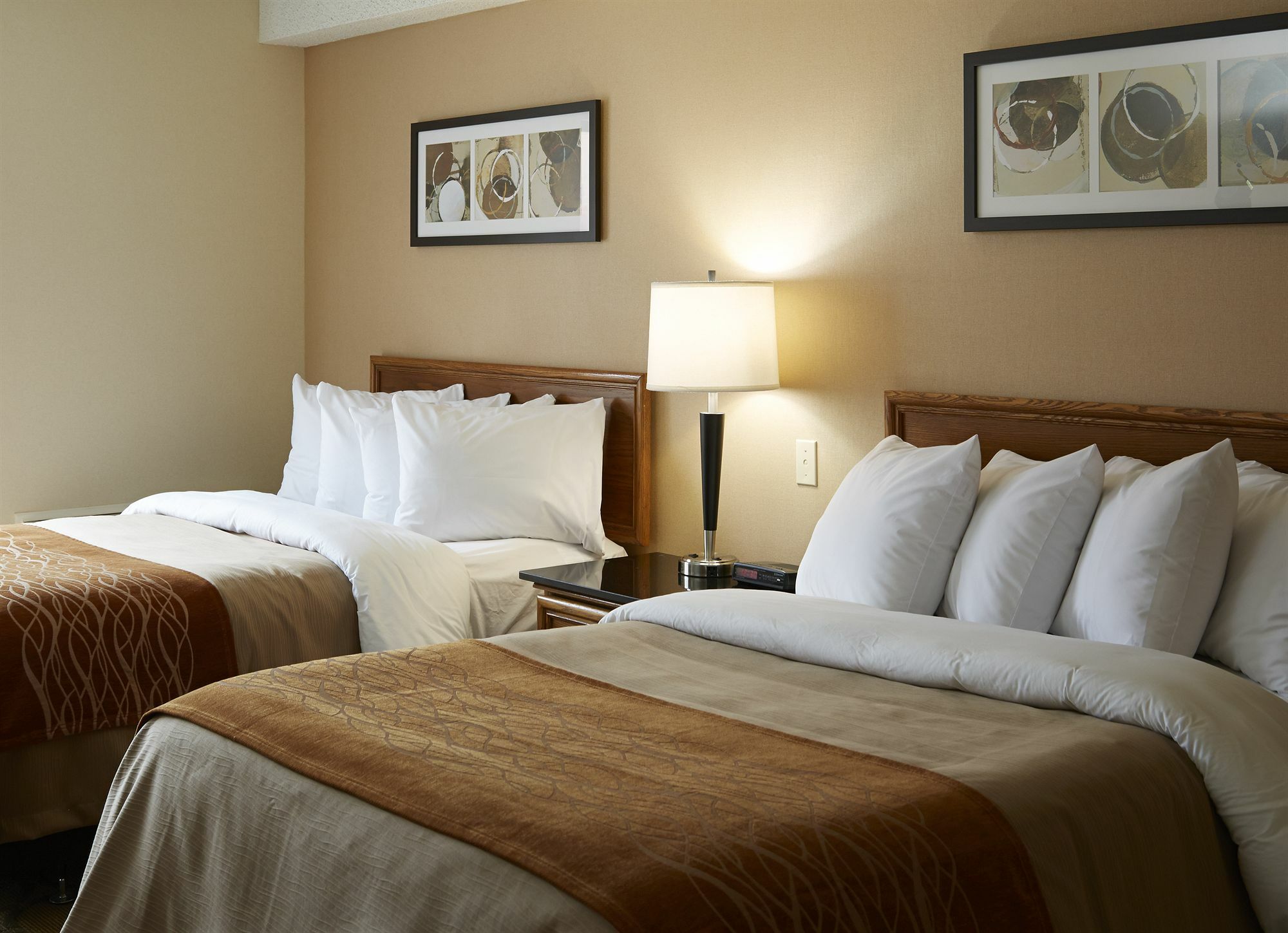 Comfort Inn Hwy 401 Kingston Exterior foto